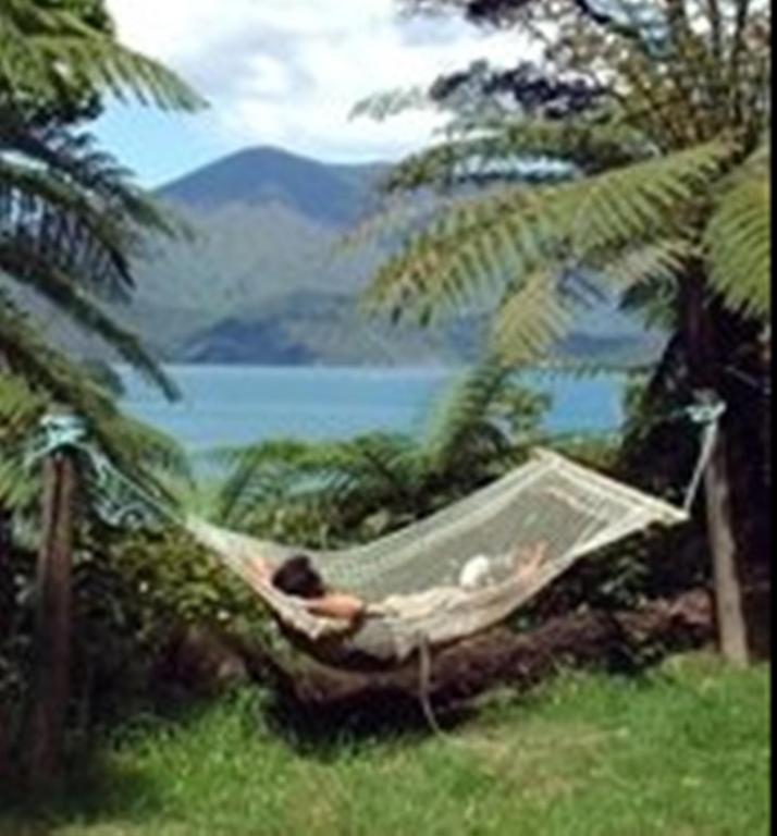 Lochmara Lodge - 20Mins By Boat From Picton Lochmara Bay Kültér fotó