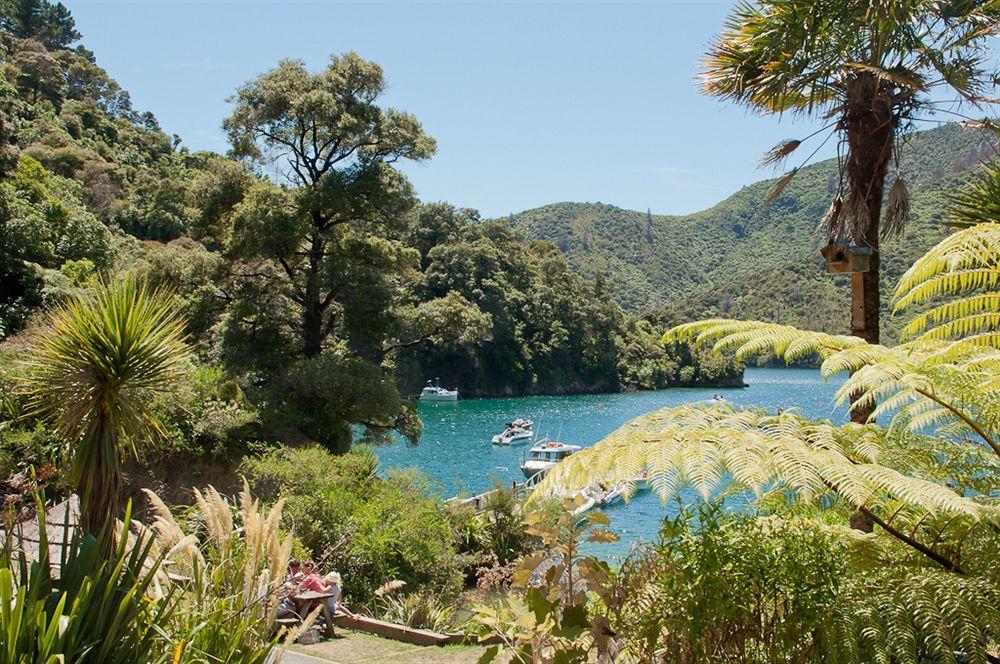 Lochmara Lodge - 20Mins By Boat From Picton Lochmara Bay Kültér fotó