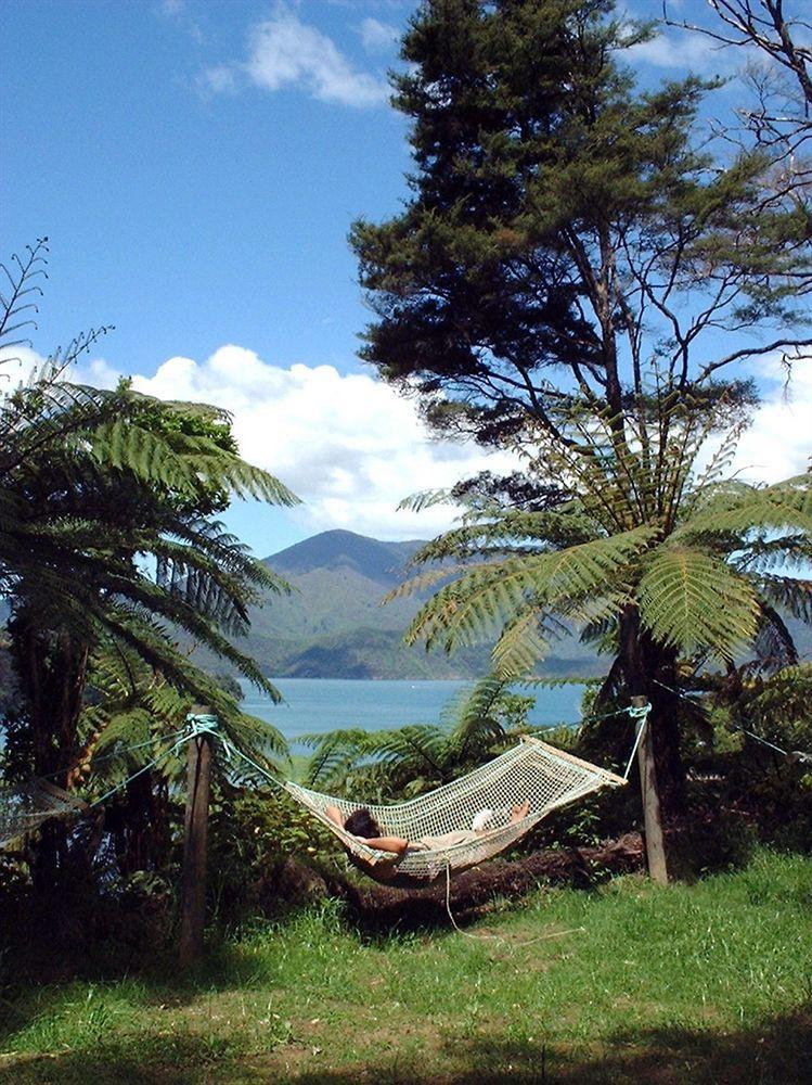 Lochmara Lodge - 20Mins By Boat From Picton Lochmara Bay Kültér fotó